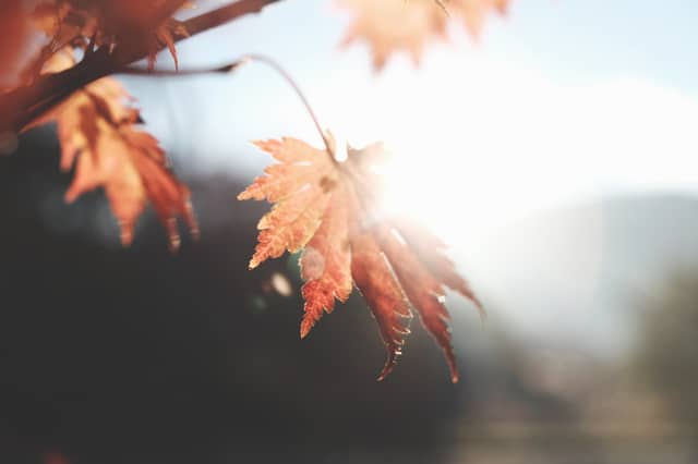 CARLOW WEATHER: Mainly dry and settled for the weekend turning chilly at times