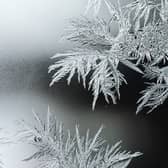 'Severe frost' on the way as temperatures are set to drop to -4° this weekend