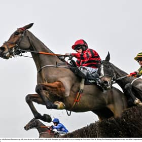 Christmas horse racing tips including 12/1 shot at Leopardstown on St Stephen's Day