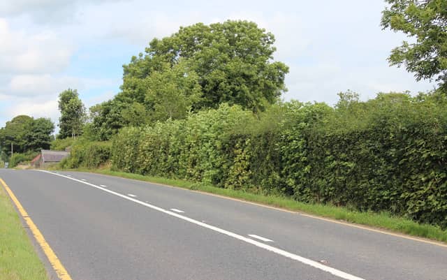 It is complemented by the Council's ongoing hedge cutting programme