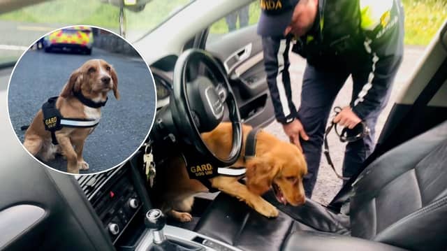 The new canine member - Gunner - member was on duty at the weekend for a joint operation between the local Crime Unit and Galway County East Community Engagement