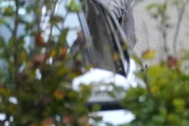 Jamie Harbron, aged 31, of South Avenue, Billingham in the UK, also pleaded guilty that on a date between September 21 and September 25, 2023, both dates inclusive, he attempted to have cocaine in his possession for the purpose of sale or supply, an offence under the Misuse of Drugs Act.