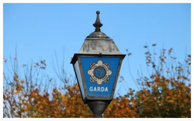 Gardaí appeal for witnesses after man in his 60s seriously assaulted at residence