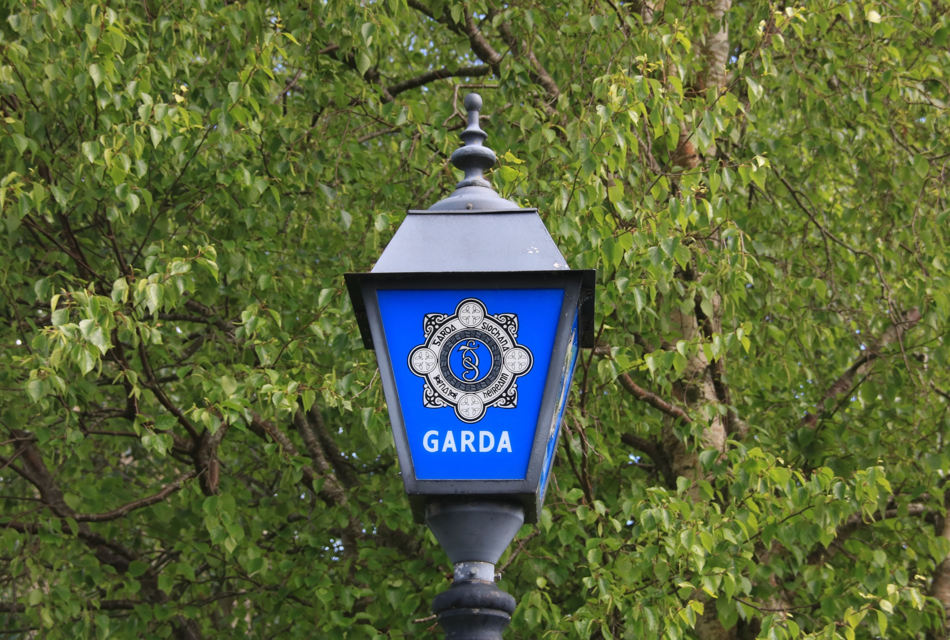 According to gardai the double-axel cow box measures 6' x 10' and was silver with white on top