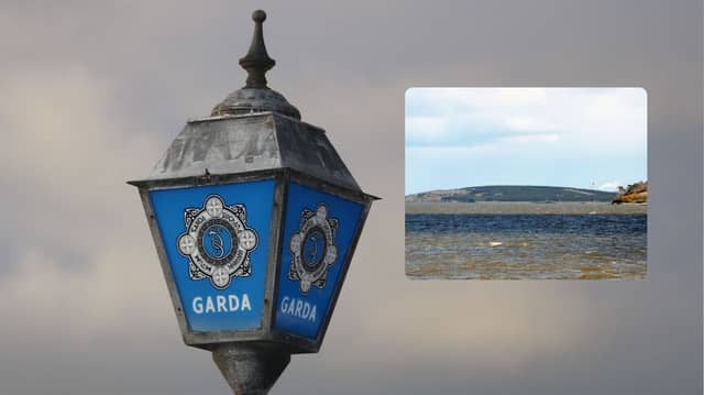 A man is being questioned by gardai after he was arrested on board a cargo vessel on the Shannon Estuary