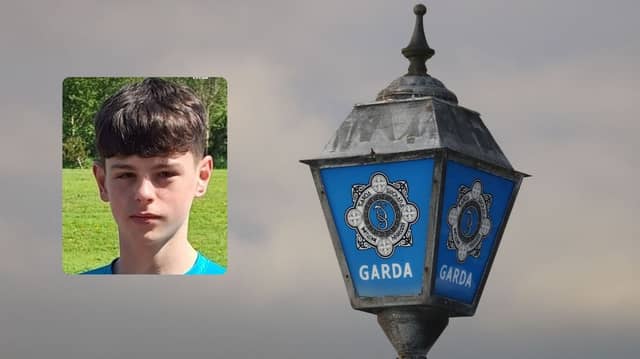 Fergus Harty, from Ballymore, County Westmeath was last seen on Saturday