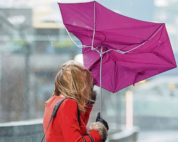 Met Eireann Storm Pia update amid warnings as brutal 90km/h winds rip across Ireland