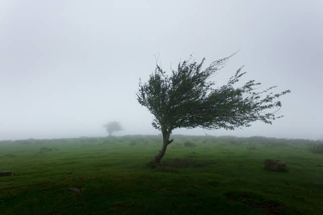 Public warned to take precautions as Storm Darragh to bring strong winds and heavy rain
