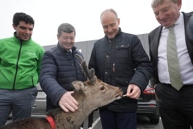 It will end a lacklustre three-week campaign that seemed to fail to ignite a surge of enthusiasm among the public, after the election was officially called by Taoiseach and Fine Gael leader Simon Harris on November 7.