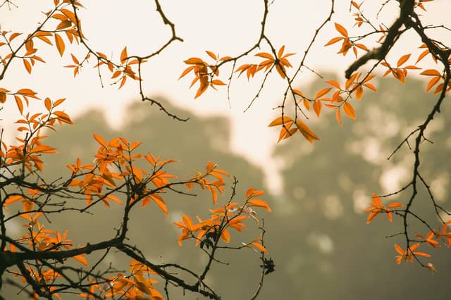 While there has been snow, ice, heavy rainfall and strong winds, the coming week looks set to be much more settled according to two of the country's leading weather experts