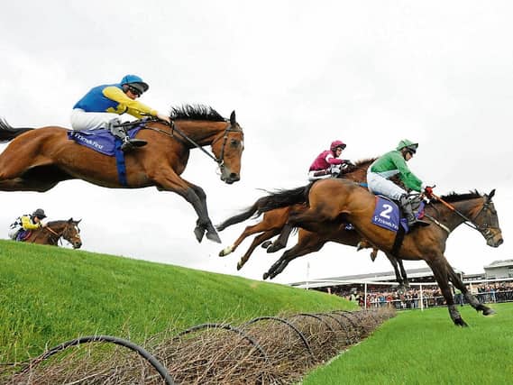 Punchestown Tips: Our man's top tips for Day 1 of Punchestown 2019