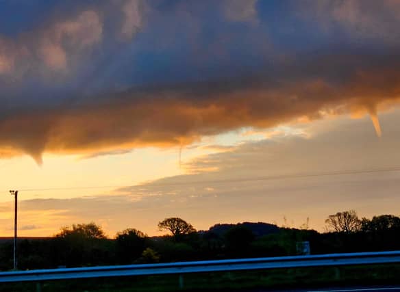 Courtesy of @CarlowWeather and @WexicoRadio on X