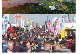 Top the Electric Picnic and bottom the National Ploughing Championships