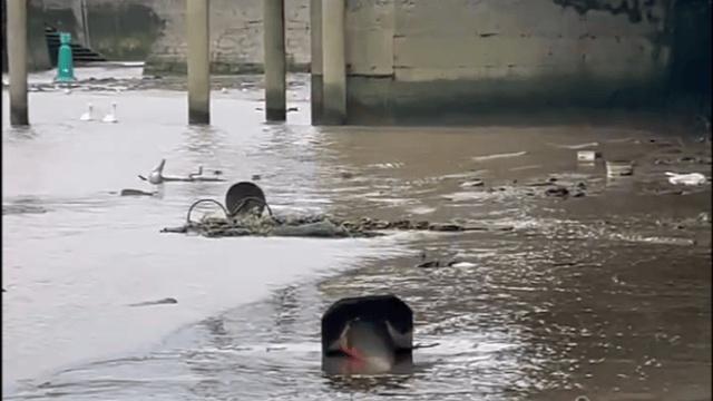 Screenshot from video by Cathal Crowe