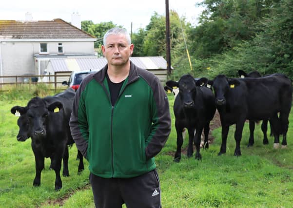 Farmer Martin McMahon with his cows in Meelick | PICTURE: Adrian Butler