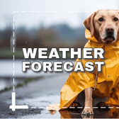 Met Eireann weather forecast for Ireland for the coming week with rain and thunder on the way