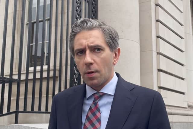 Sinn Fein president Mary Lou McDonald said in the Dail chamber that Ms Towey had been charged with attempted suicide and alcohol abuse as she urged the Irish Government to intervene.
