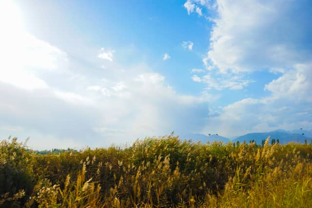 CARLOW WEATHER: A dry day with sunny spells and highs of 22 degrees