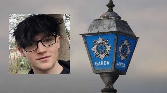 Theo Devaney, 15, has been reported missing from his home in County Donegal