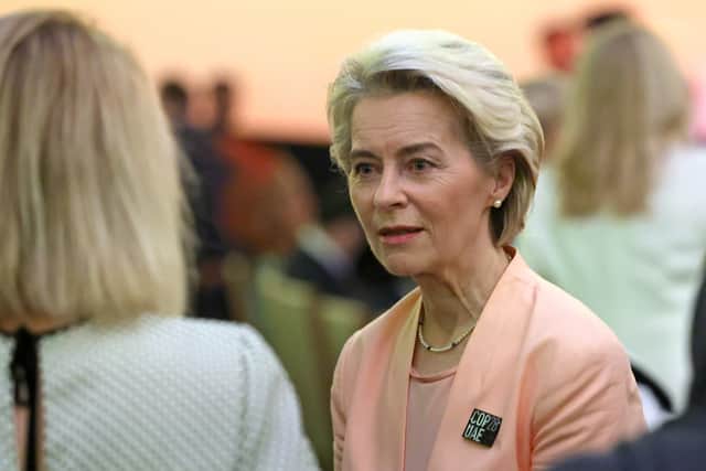 Opposition politicians called on Irish premier Simon Harris’s Fine Gael party not to support Ursula von der Leyen for another term as European Commission president.