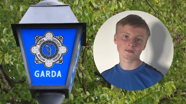 Lorcan Meehan was last seen in Portlaoise on Sunday night