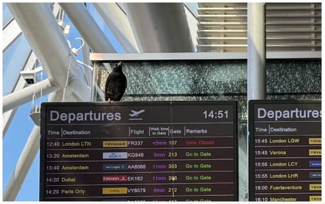 PICTURE: X/@DublinAirport