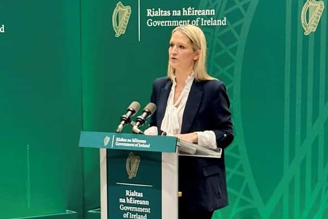 There has been some political opposition to the Bill, particularly in the Seanad, where senators have questioned whether it would have a chilling effect on free speech and asked for a definition of the word “hate”.