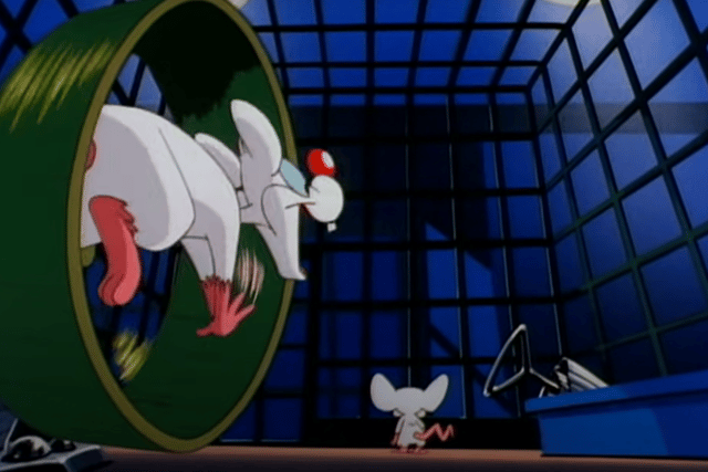 Their adventures trying to take over the world kept us entertained from 1995 to 1998.