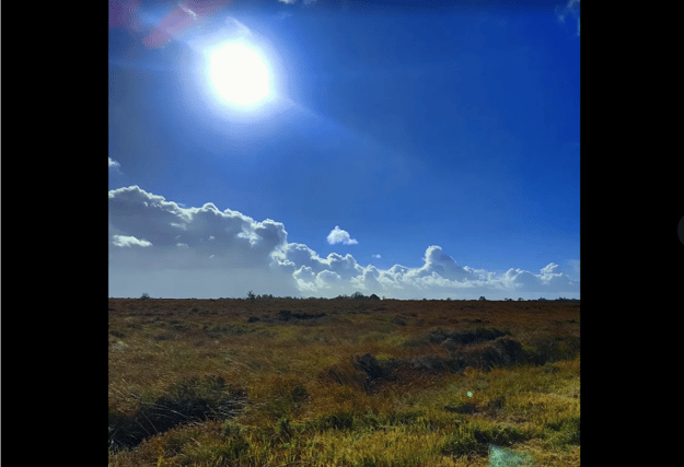 Courtesy of Google | Picture by Sarah Devine