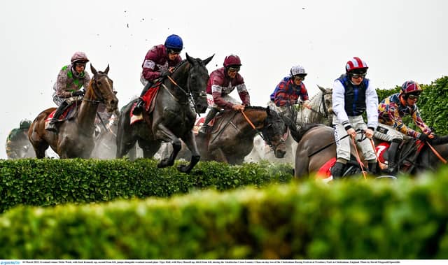 Cross-Country chase abandoned at Cheltenham after deluge of rain on track
