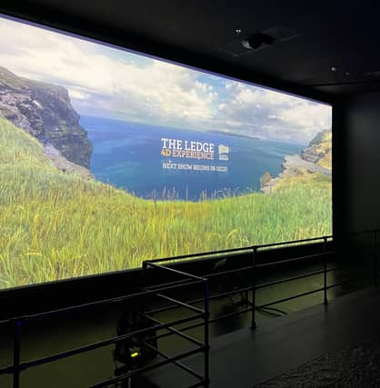 PICTURE: Cliffs of Moher Experience
