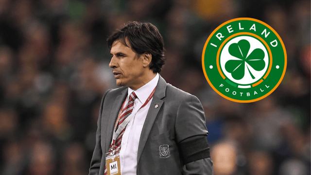 Chris Coleman guided Wales to the semi-finals of Euro 2016. PIC: Sportsfile