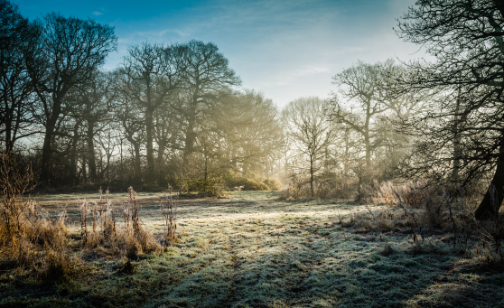 Met Eireann snow verdict with temperatures to plunge below zero again amid weather u-turn (file photo).