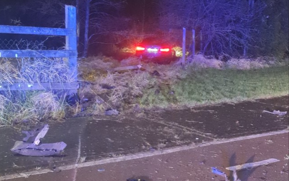 PIC FROM: An Garda Síochána 'X' page