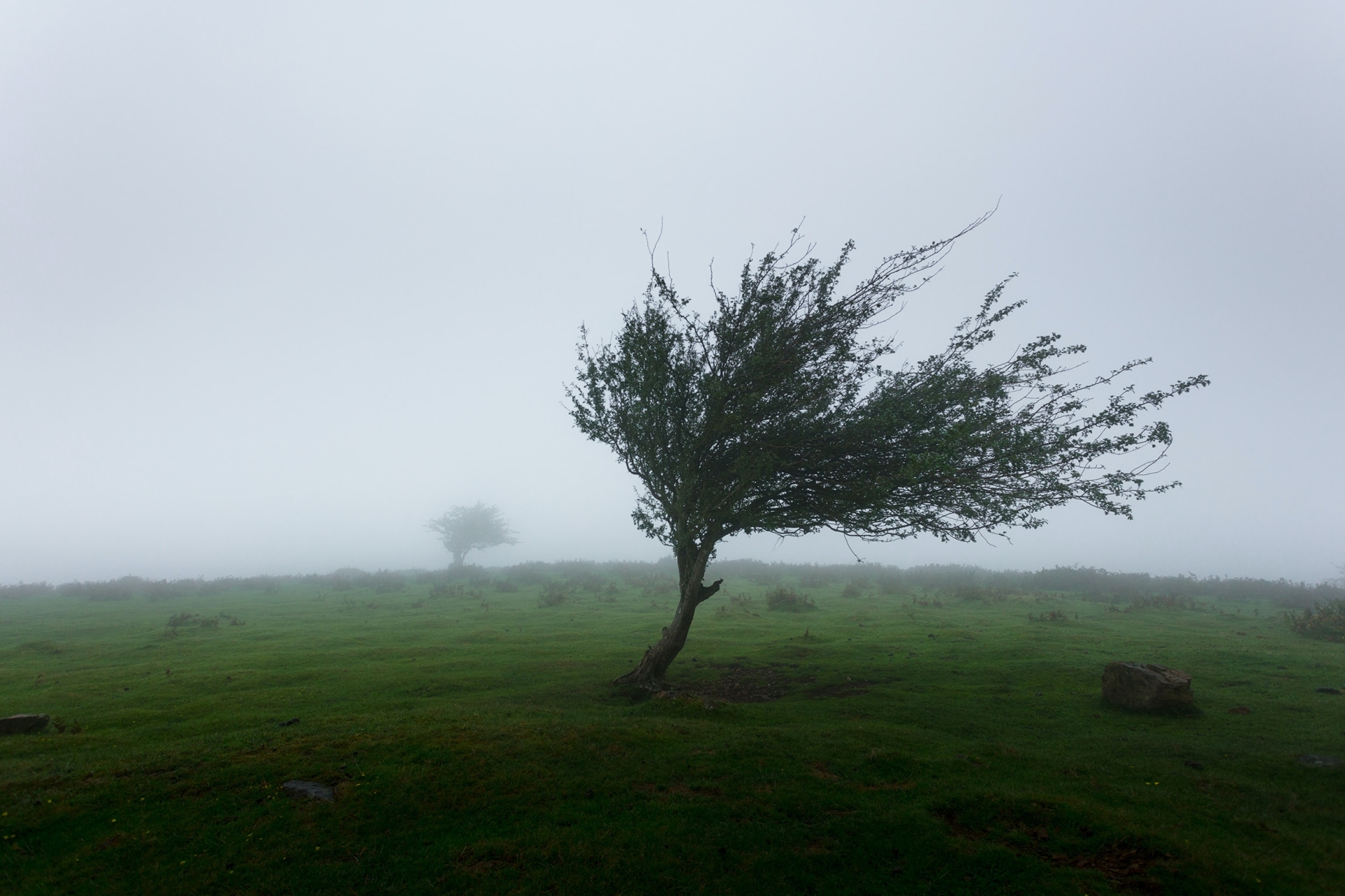 Met Éireann issues warnings with five counties pinpointed for battering