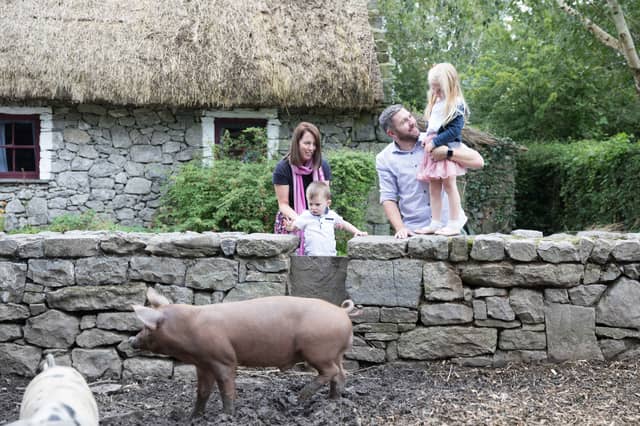 A family pictured with Tamworth Pigs at Bunratty Castle and Folk Park | Photo: Eamon Ward