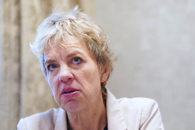 “Furthermore, we understand from the reports in the papers today that the provision of care to be recognised in the constitution will be limited to that: Within the home or within the family.