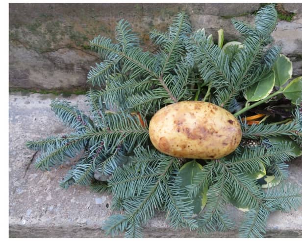 Yes, even the humble potato can make a great base for your festive wreath
