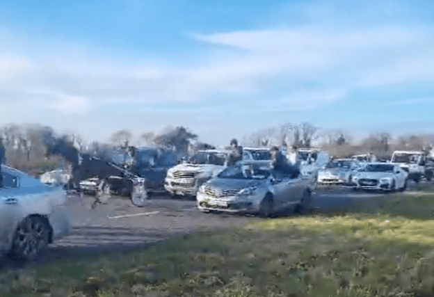 A still from footage of a sulky race on the N20 that has been widely shared on social media