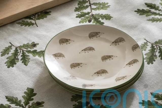2. Sophie Allport Hedgehogs Stoneware Small Side Plates, £12.50 (€14.50) (, Sophie Allport.