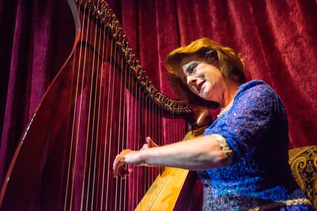 “Its use as the arms of Ireland goes back to mediaeval times, when the instrument was played in banquet halls across the country and, most notably, at Bunratty Castle where its melodic sounds have had a presence over the centuries,” she added.