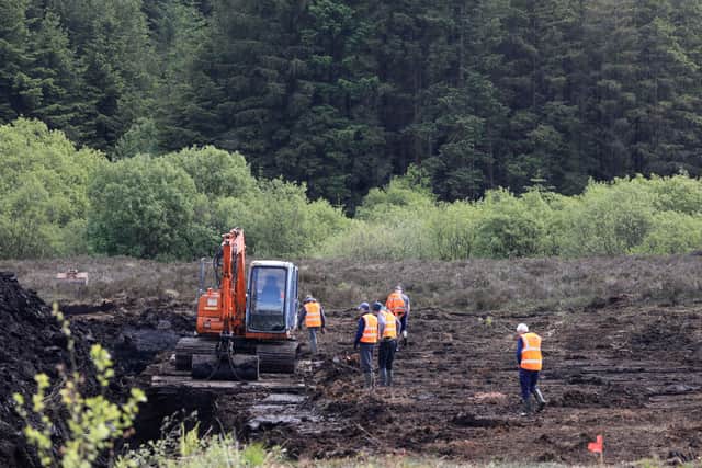 He added: “But the work is not done. And it is the view of the commission that Columba is here in this bog behind us.