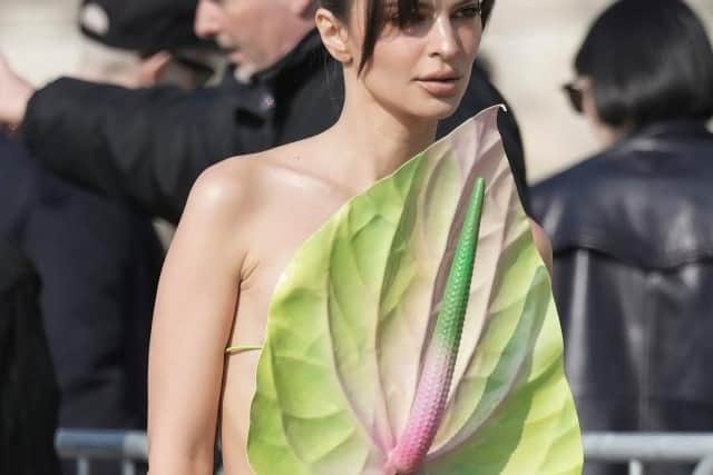 She kept her beauty look simple, with a nude lip and her hair in a relaxed updo.