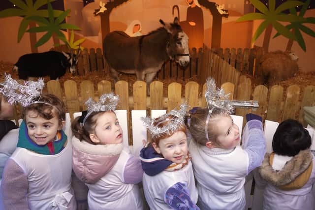 The live animal crib was cancelled by mayor Caroline Conroy, a Green Party councillor, who said it was “good, but we can do better”, suggesting choirs, games, or a Santa postbox would be more interactive for children.