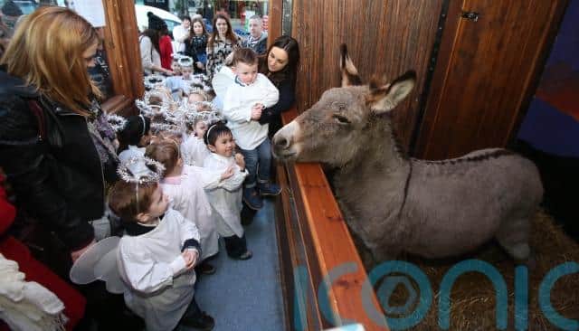The crib will be back on December 8 and will include shelter to a donkey, two sheep, and a goat, gathered around a scene which captures the Nativity story.