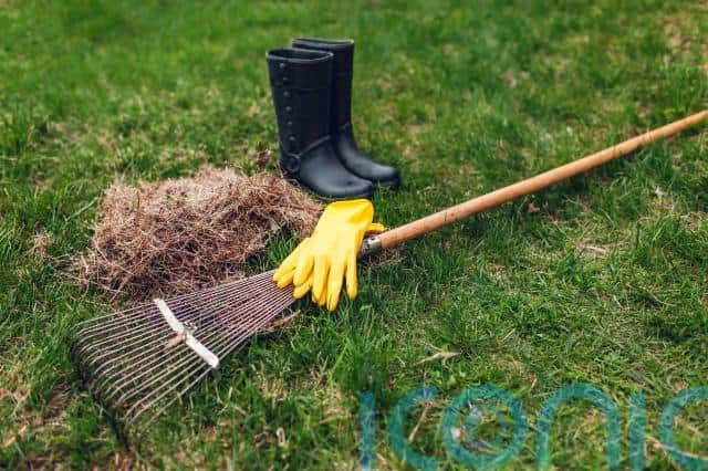 “Thatch is a layer of organic matter that can build up between the leaves and the soil, consisting of dead leaves, grass and root stems,” notes Turner. “The build-up creates a blockage, preventing essential moisture and nutrients from penetrating into the soil and down to the roots.”