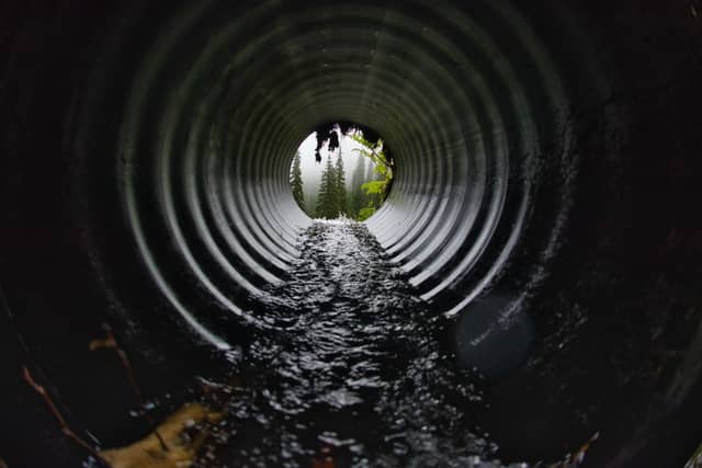 Infected urine or contaminated water can be found in sewers, ditches, ponds, canals and slow-flowing rivers and riverbanks