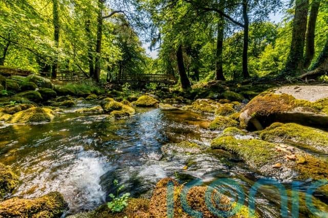 The initial purchase of Mourne Park was part funded by Stormont’s Department of Agriculture, Environment and Rural Affairs and the Garfield Weston Foundation.