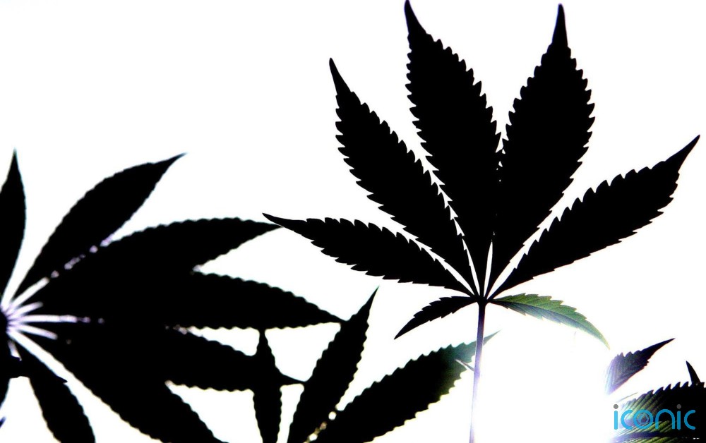 But they may not be at increased risk of other mental health problems related to the drug, researchers found