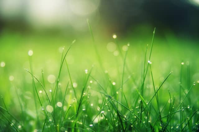 CARLOW WEATHER: Mix of sunny spells and scattered showers expected for weekend ahead